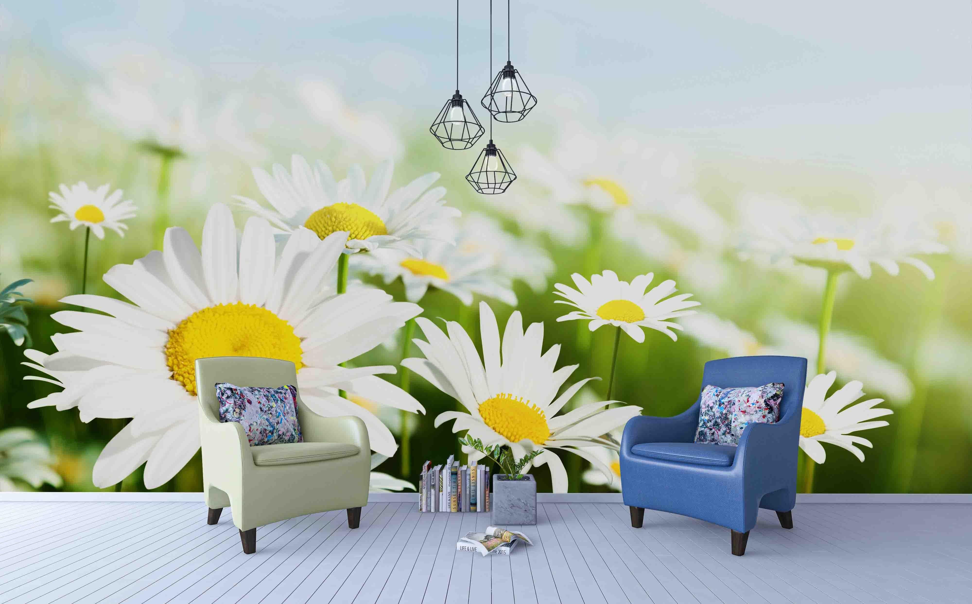 3D Beautiful White Flowers Daisy Wall Mural Wallpaper ZY D4- Jess Art Decoration