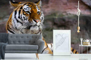 3D  Animal Tiger Rock  Wall Mural Wallpaper SWW955- Jess Art Decoration