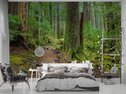 3D Hoh Rain Forest Landscape Wall Mural Wallpaper LQH 215- Jess Art Decoration