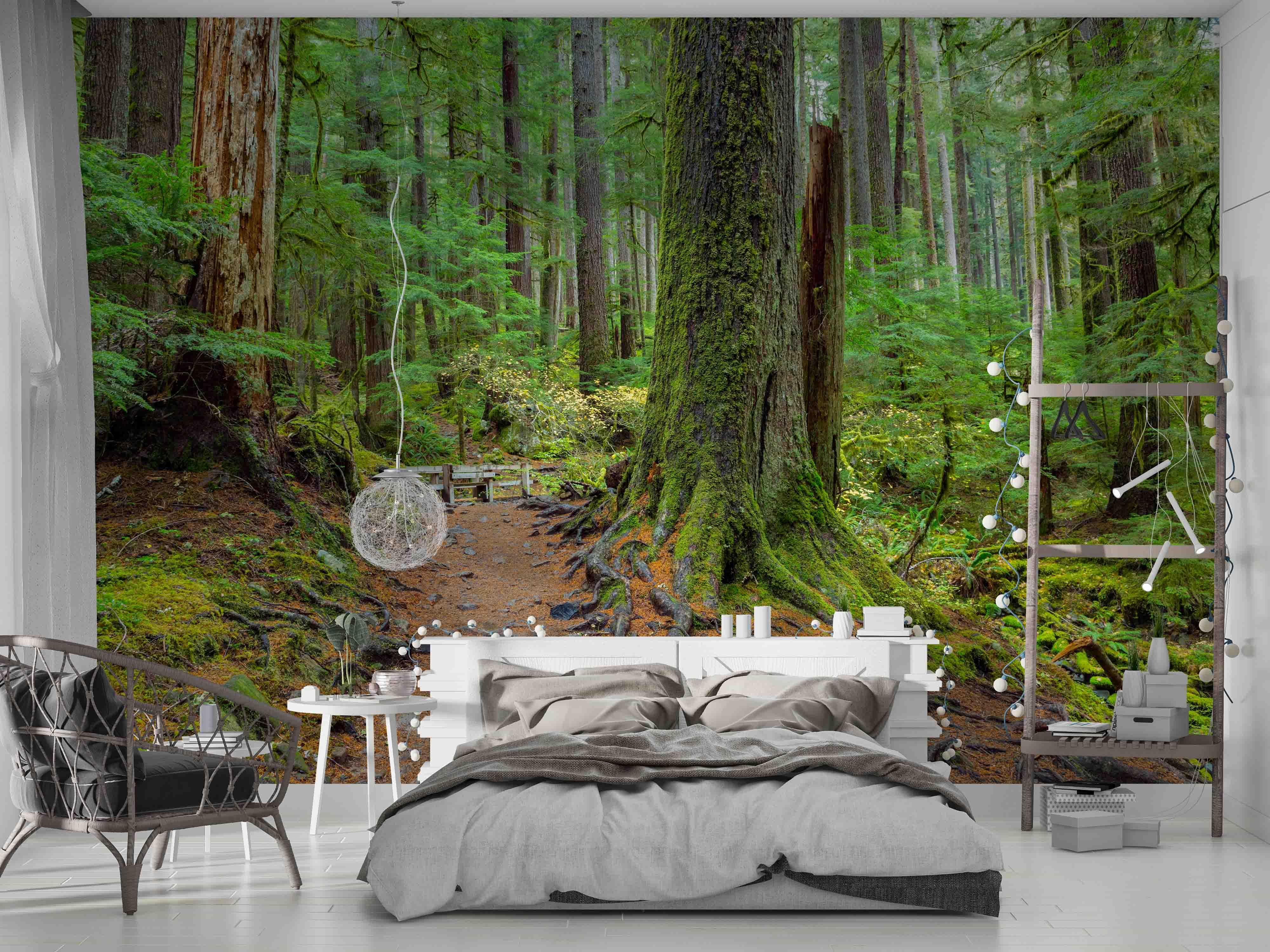 3D Hoh Rain Forest Landscape Wall Mural Wallpaper LQH 215- Jess Art Decoration