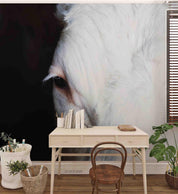 3D White Horse Black Background Wall Mural Wallpaper 08 LQH- Jess Art Decoration