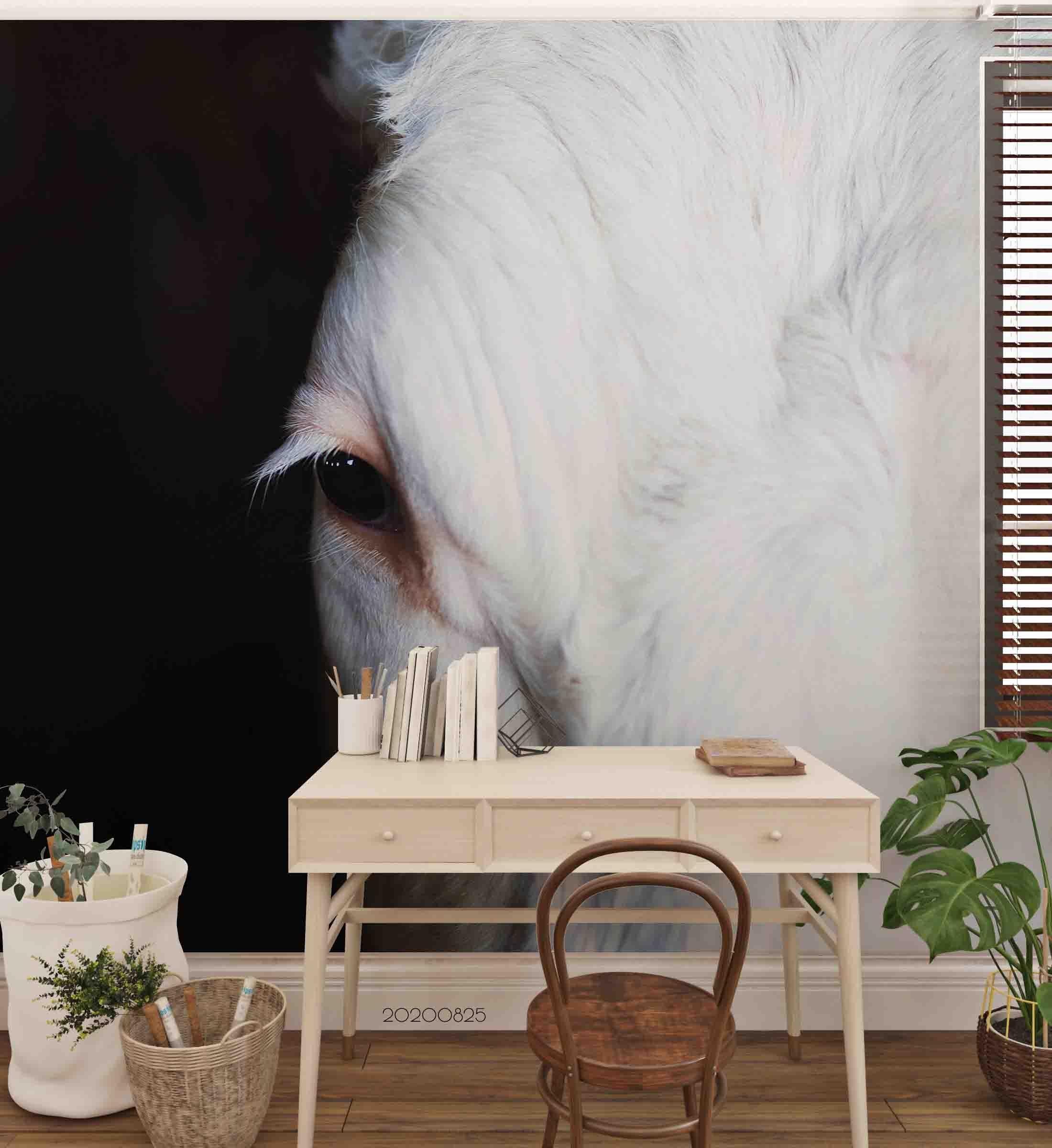 3D White Horse Black Background Wall Mural Wallpaper 08 LQH- Jess Art Decoration