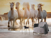 3D Sunset Beach Horse Running Wall Mural Wallpaper LQH 70- Jess Art Decoration