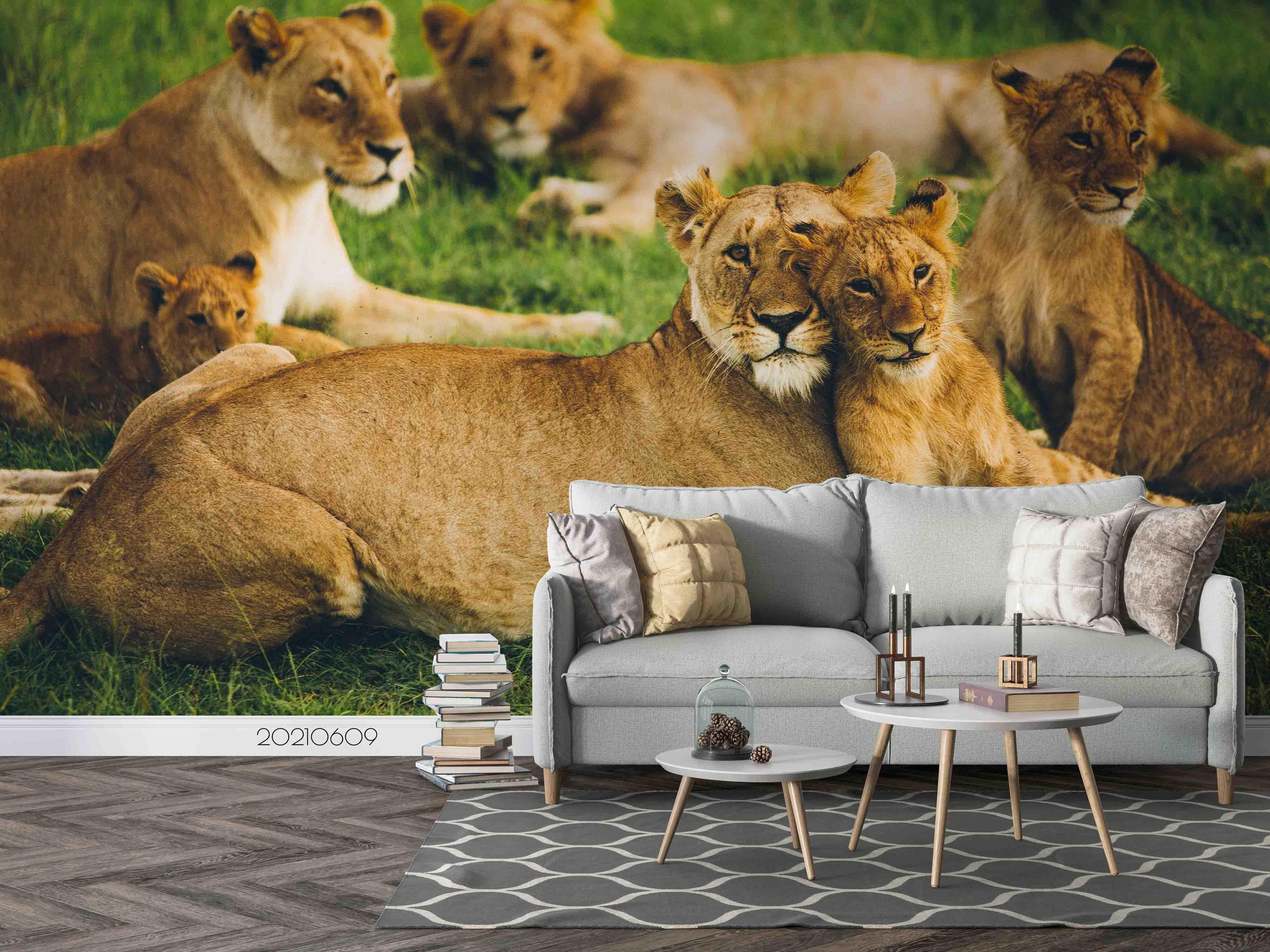 3D  Africa Grassland Lion Wall Mural Wallpaper SWW1691- Jess Art Decoration