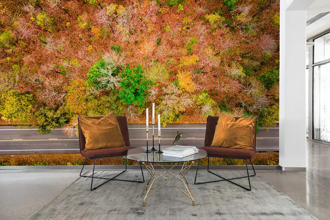 3D Forest Highway Fall Wall Mural Wallpaper 2- Jess Art Decoration