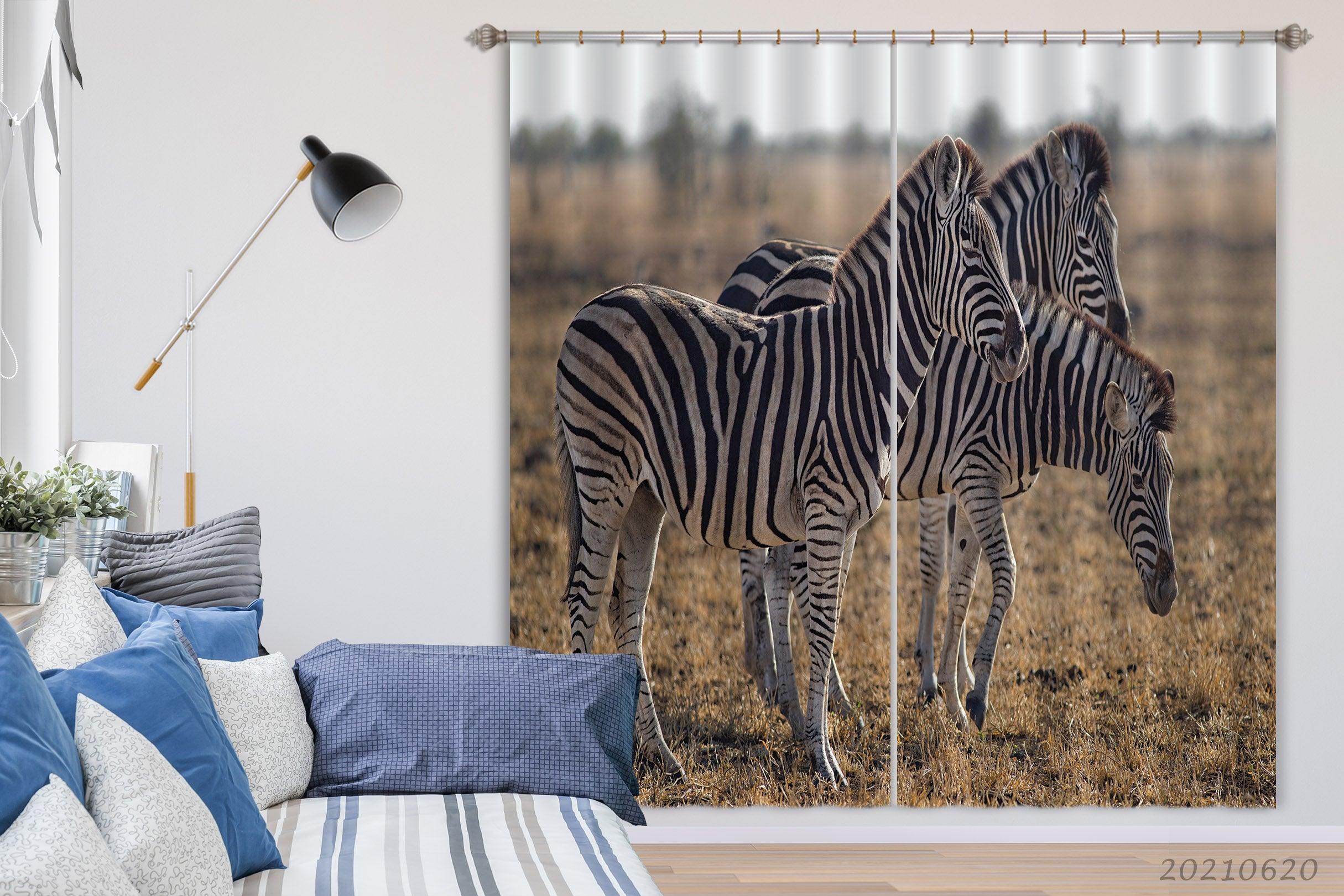3D Zebra Prairie Pattern Curtains and Drapes GD 894- Jess Art Decoration