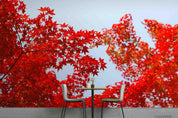 3D Red Maple Wall Mural Wallpaper SWW3897- Jess Art Decoration