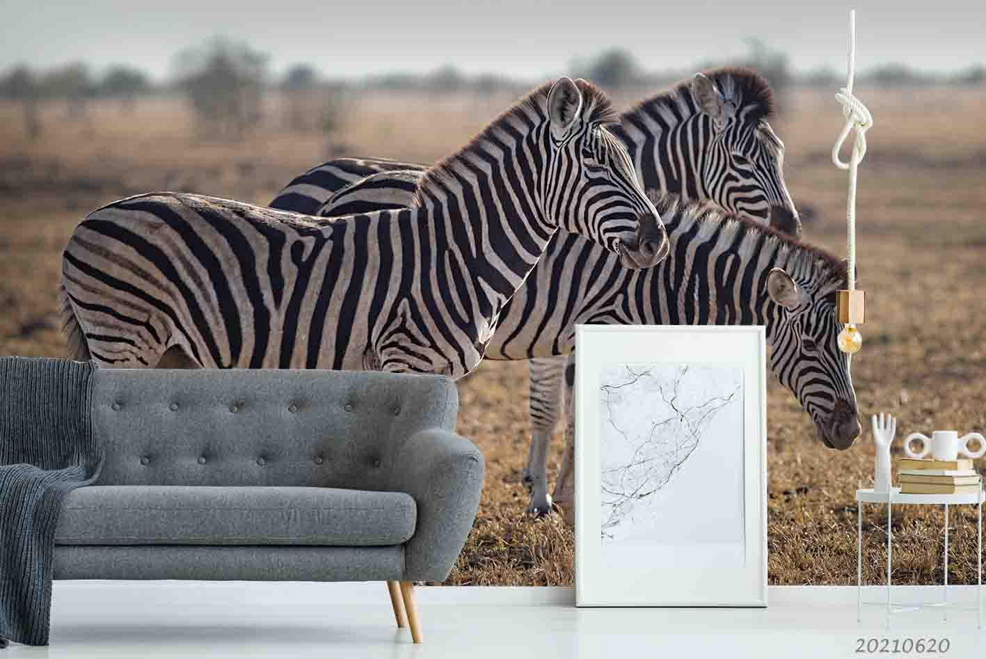 3D Wild Animal Zebra Wall Mural Wallpaper LQH 15- Jess Art Decoration