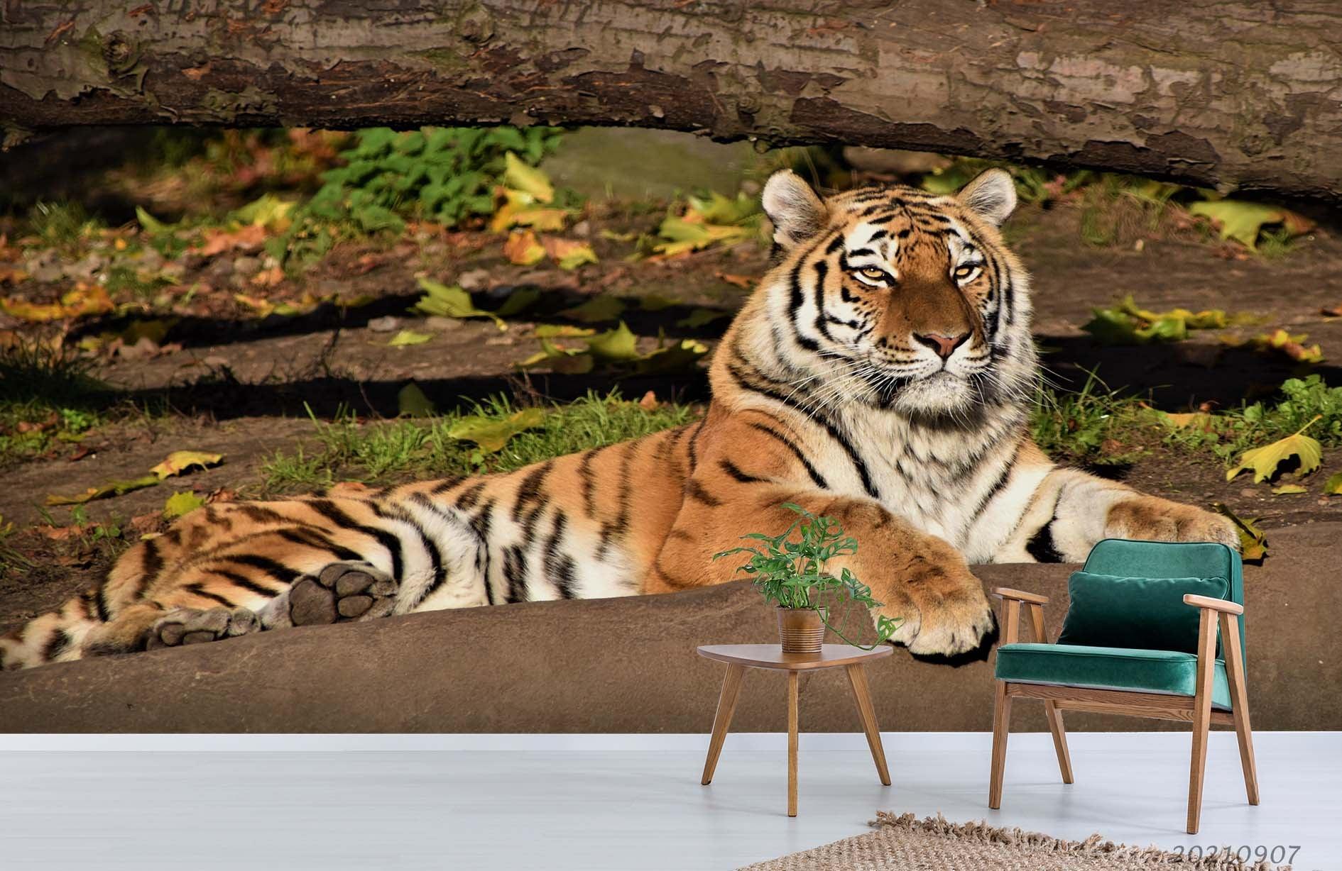 3D Forest Animal Tiger Wall Mural Wallpaper LQH 174- Jess Art Decoration