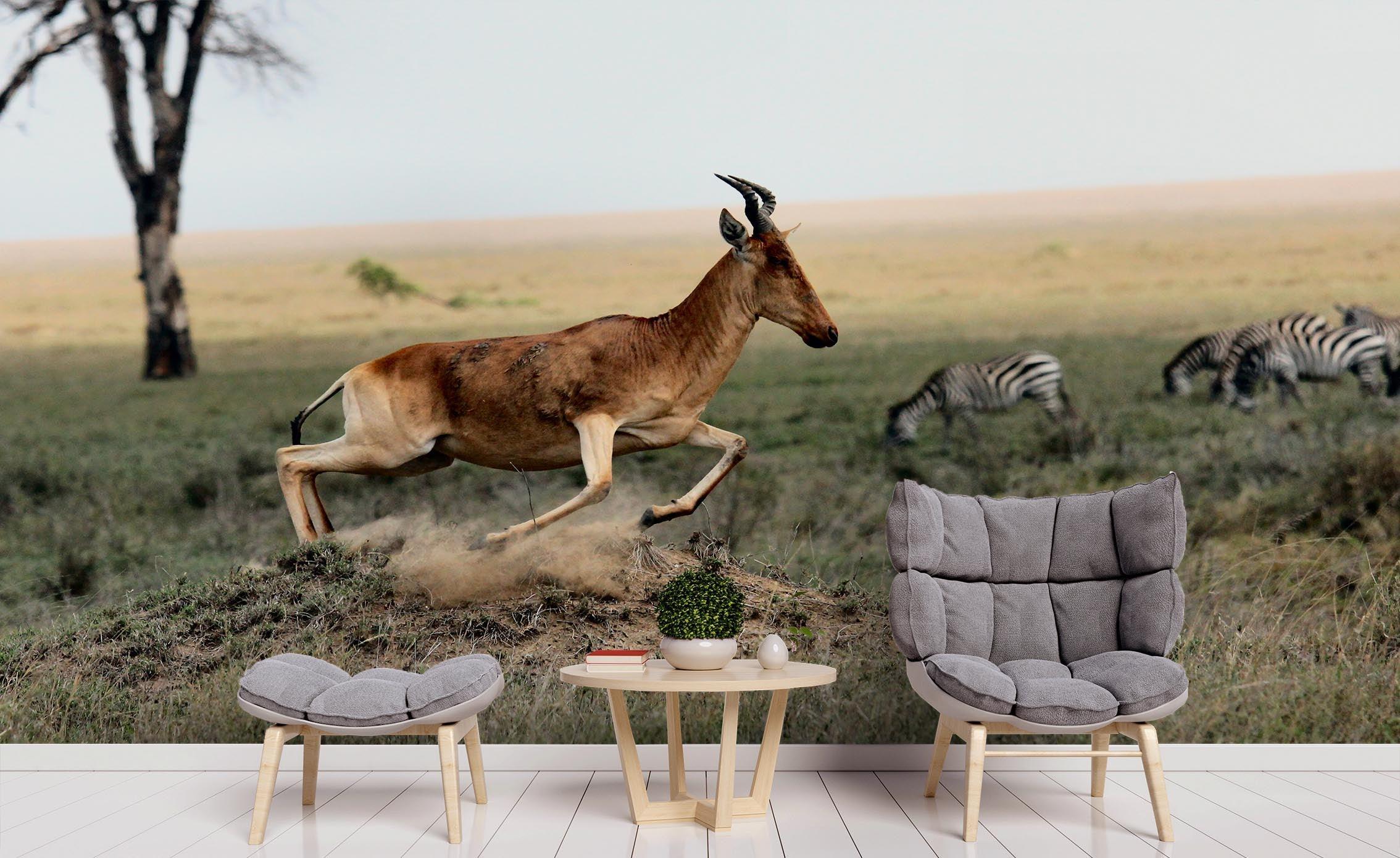 3D Grassland Animals Wall Mural Wallpaper 146- Jess Art Decoration
