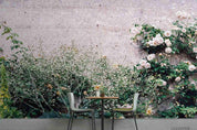 3D Floral Baby's Breath Wall Mural Wallpaper 3808- Jess Art Decoration