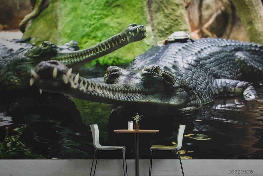 Premium AI Image | nile crocodile HD 8K wallpaper Stock Photographic Image