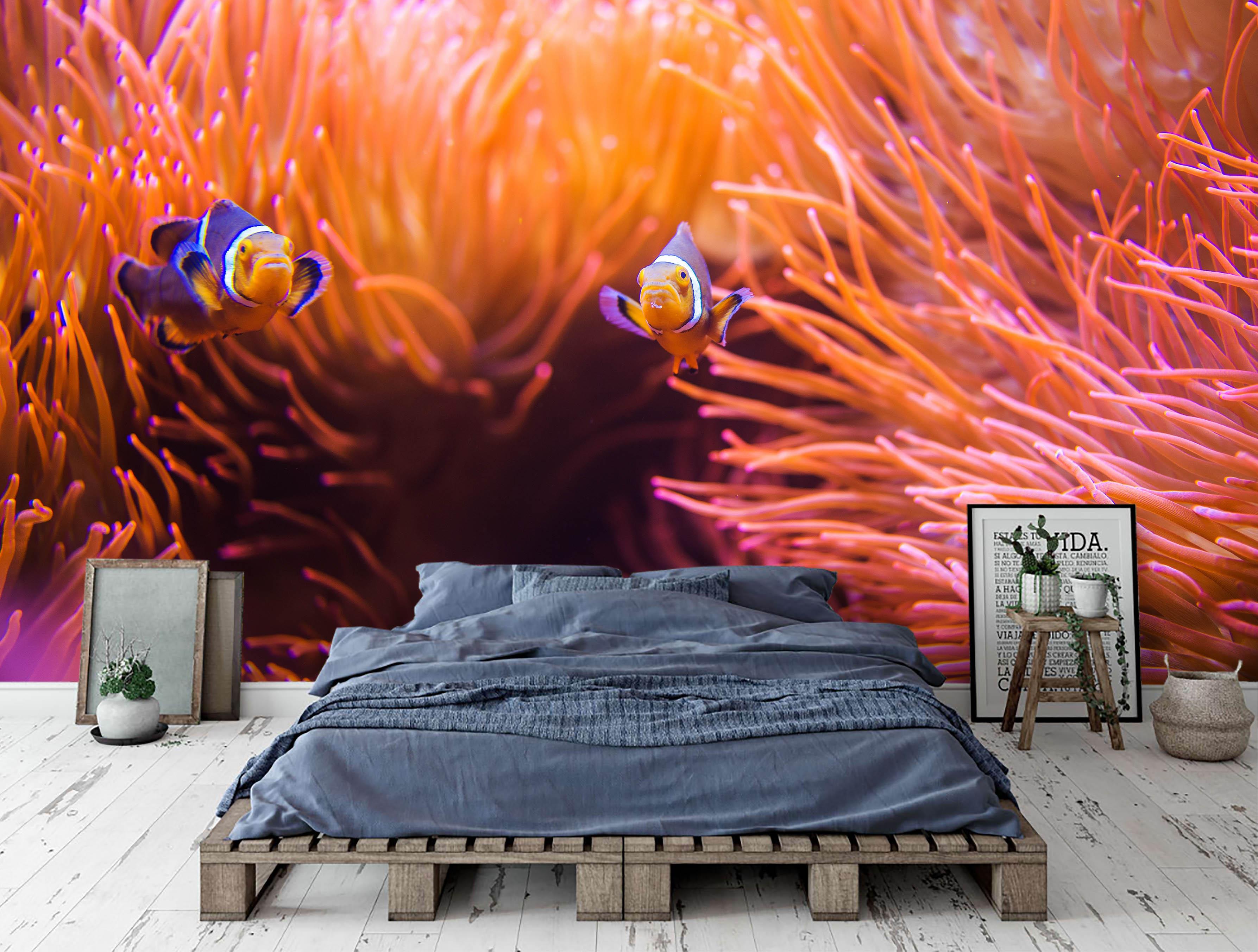 3D Red Coral Clownfish Wall Mural Wallpaper 11- Jess Art Decoration