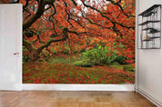 3D Autumn Red Maple Forest Wall Mural Wallpaper SWW3926- Jess Art Decoration