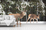 3D elk forest snow wall mural wallpaper 47- Jess Art Decoration