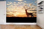 3D Elk Sky Sunset Clouds Wall Mural Wallpaper 31- Jess Art Decoration