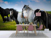 3D Blue Sky Green Grassland Horse Animal Wall Mural Wallpaper LXL- Jess Art Decoration