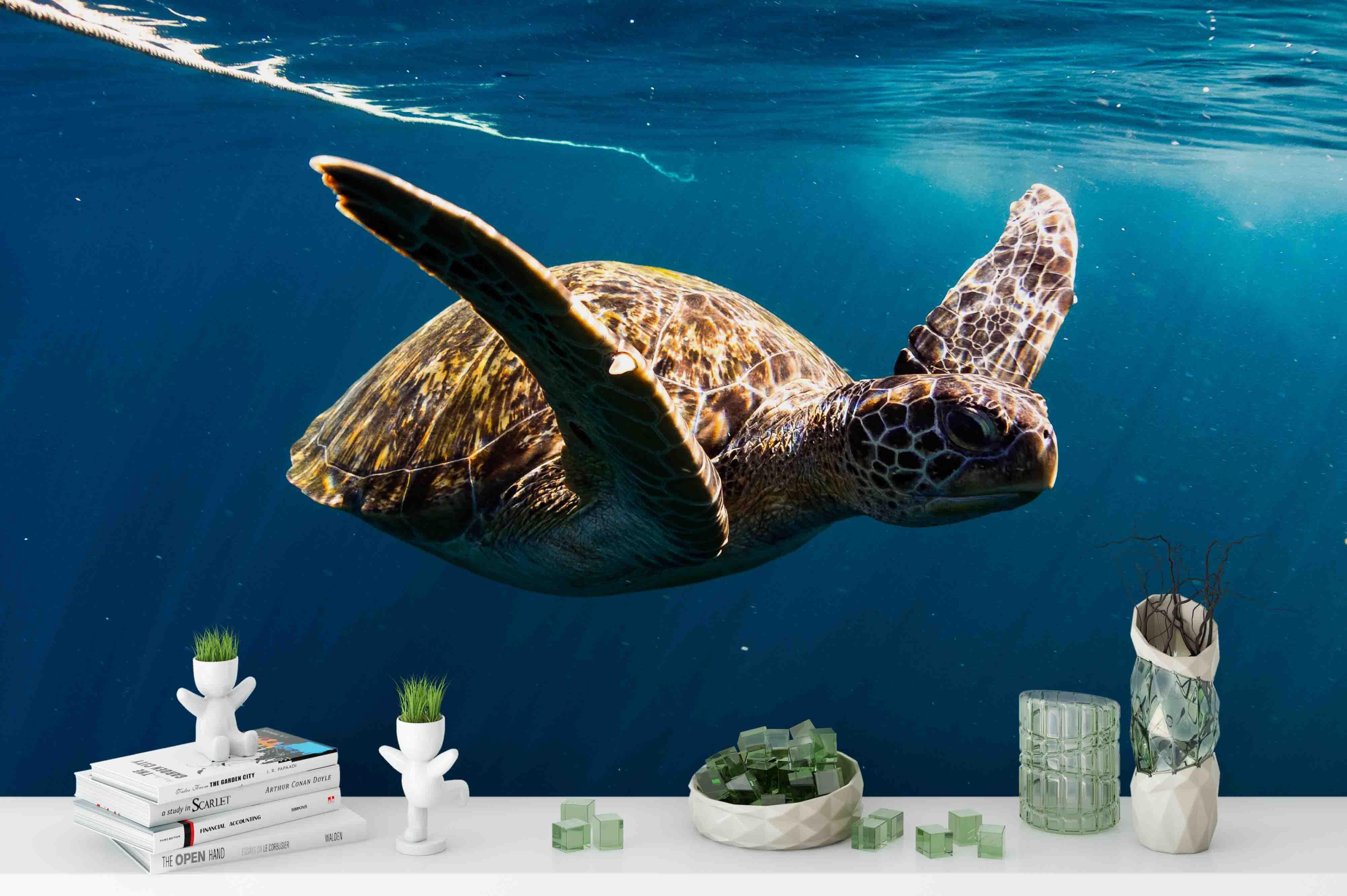 3D Blue Sea Turtle Wall Mural Wallpaper 183- Jess Art Decoration