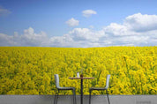 3D Sky Cloud Rape Flower Wall Mural Wallpaper LQH 70- Jess Art Decoration