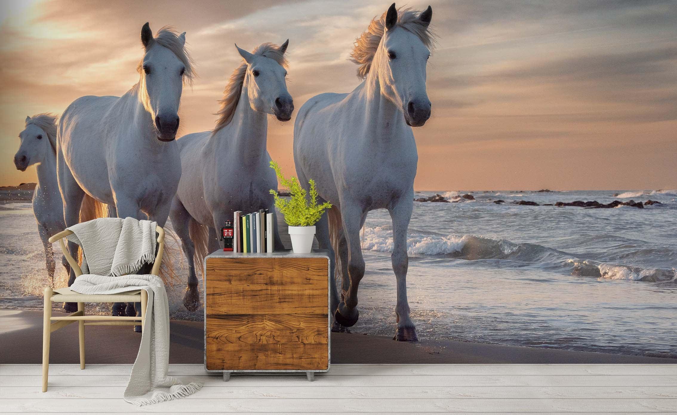 3D Sea Sky Horse Wall Mural Wallpaper 1 LQH- Jess Art Decoration