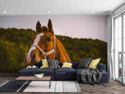 3D Forest Animal Horse Wall Mural Wallpaper LQH 13- Jess Art Decoration