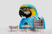 3D Blue Parrot Wall Mural Wallpaper 144- Jess Art Decoration