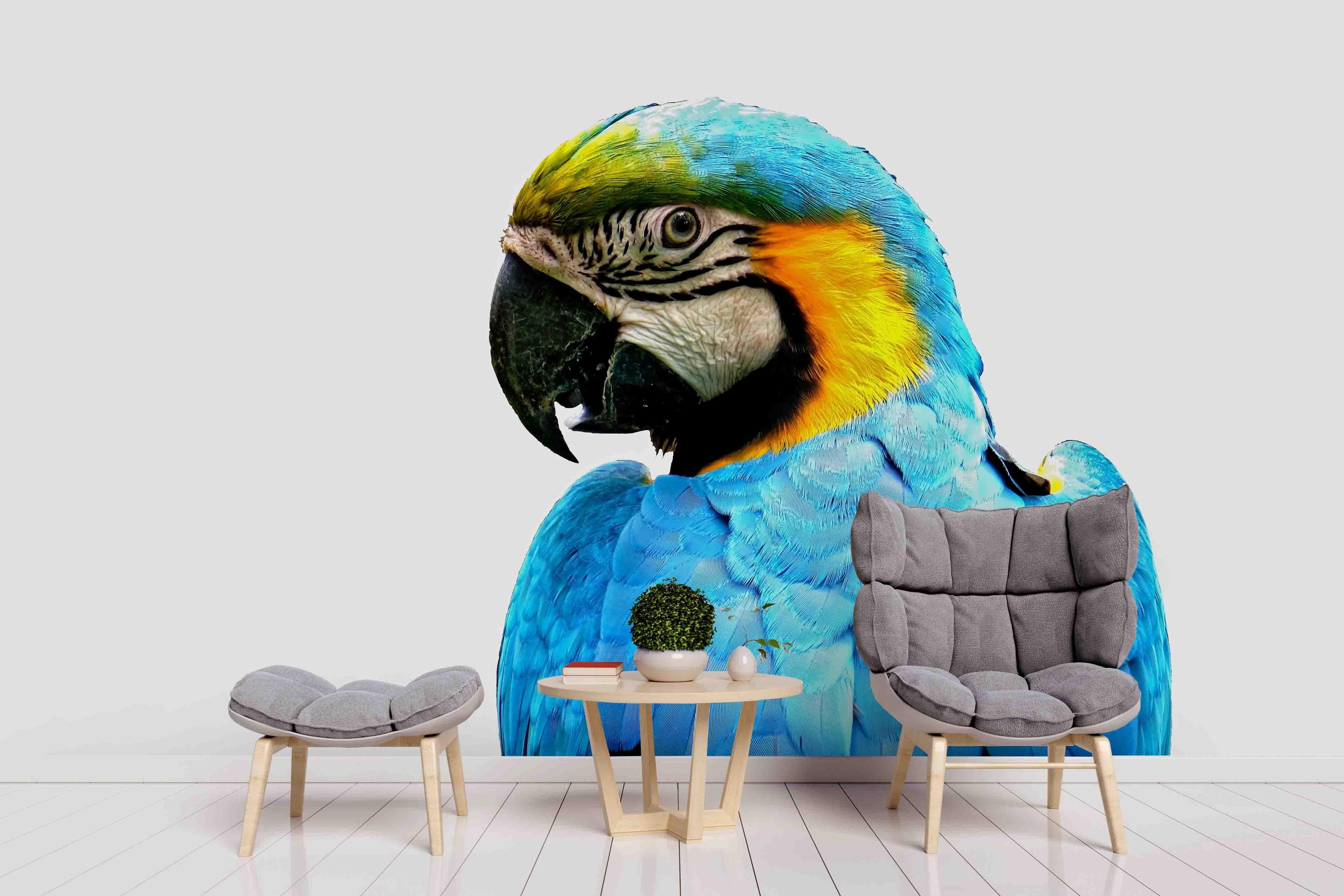 3D Blue Parrot Wall Mural Wallpaper 144- Jess Art Decoration
