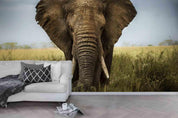 3D Elephant Plant Sky Wall Mural Wallpaper 05- Jess Art Decoration