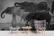 3D African Elephant Wall Mural Wallpaper  sww  226- Jess Art Decoration