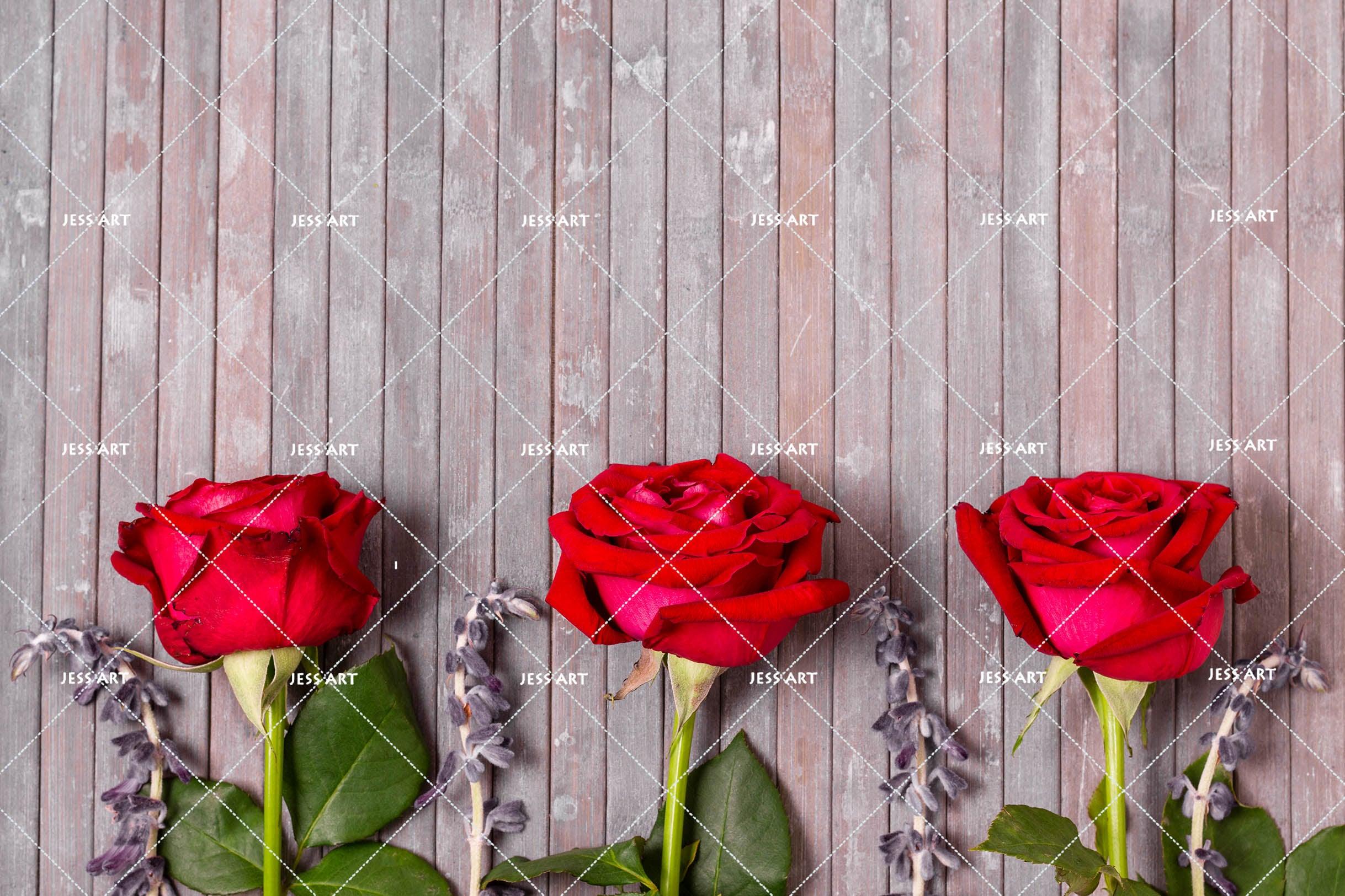 3D red rose flowers background wall mural wallpaper 40- Jess Art Decoration