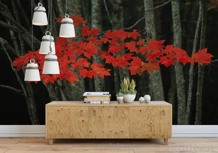 3D Forest Red Maple Leaves Painting Wall Mural Wallpaper GD 1200- Jess Art Decoration