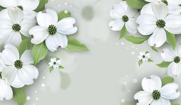 3D White Flower Wall Mural Wallpaper 230- Jess Art Decoration