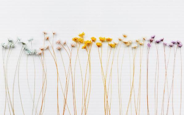 3D Flower Wall Mural Wallpaper 254- Jess Art Decoration