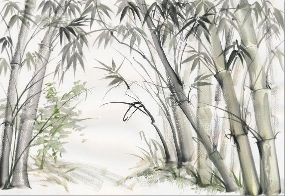 3D Bamboo Forest Wall Mural Wallpaper 571- Jess Art Decoration