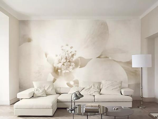 3D White Flower Wall Mural Wallpaper 37- Jess Art Decoration