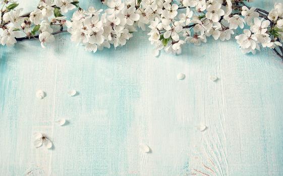 3D Blue Cherry Blossoms Wall Mural Wallpaper 109- Jess Art Decoration