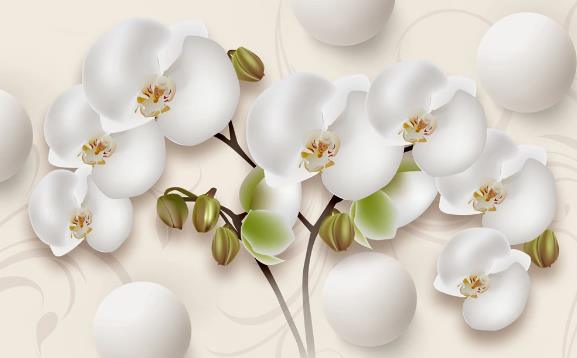 3D White Phalaenopsis Wall Mural Wallpaper 25- Jess Art Decoration