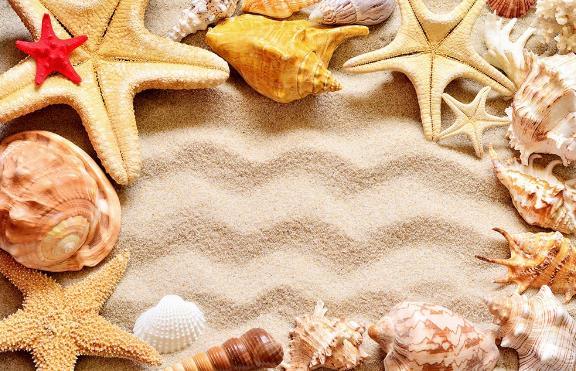 3D Starfish Conch Beach Wall Mural Wallpaper 826- Jess Art Decoration