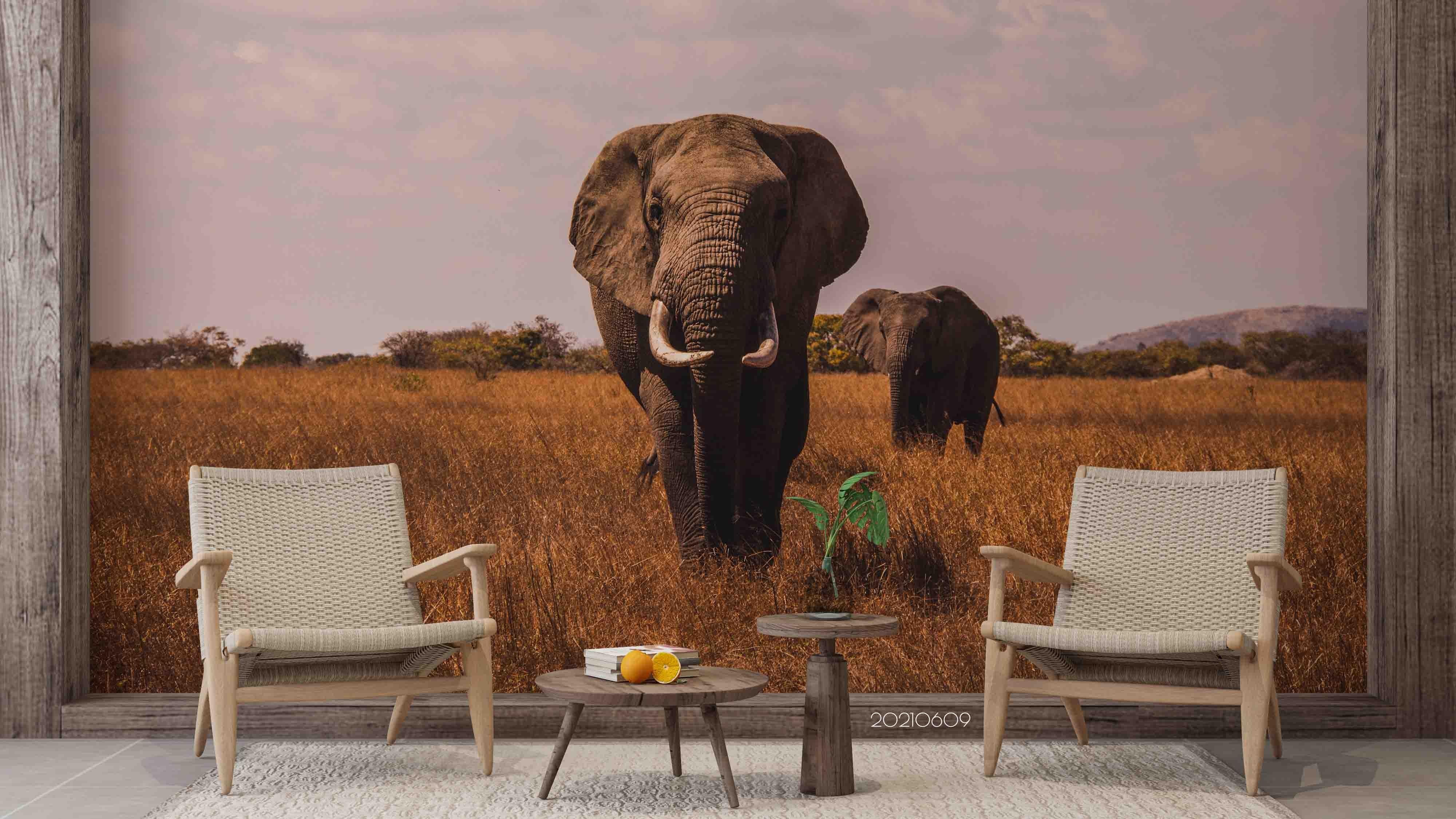 3D Africa Grassland Elephant Wall Mural Wallpaper SWW1641- Jess Art Decoration