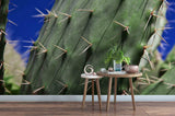 3D Green Cactus Wall Mural Wallpaper 19- Jess Art Decoration