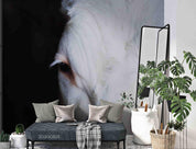 3D White Horse Black Background Wall Mural Wallpaper 08 LQH- Jess Art Decoration
