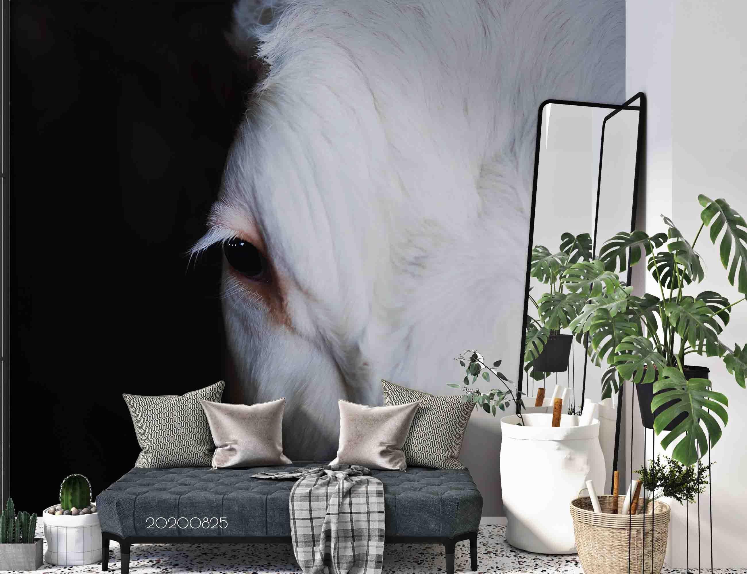 3D White Horse Black Background Wall Mural Wallpaper 08 LQH- Jess Art Decoration