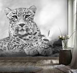 3D Leopard Wall Mural Wallpaper 186- Jess Art Decoration