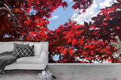 3D Red Maple Leaf Wall Mural Wallpaper SWW4369- Jess Art Decoration