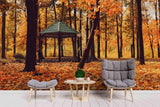 3D autumn sunny landscape wall mural wallpaper 12- Jess Art Decoration