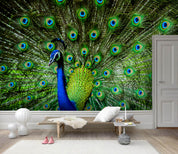 3D Peacock Feather Wall Mural Wallpaper 125- Jess Art Decoration