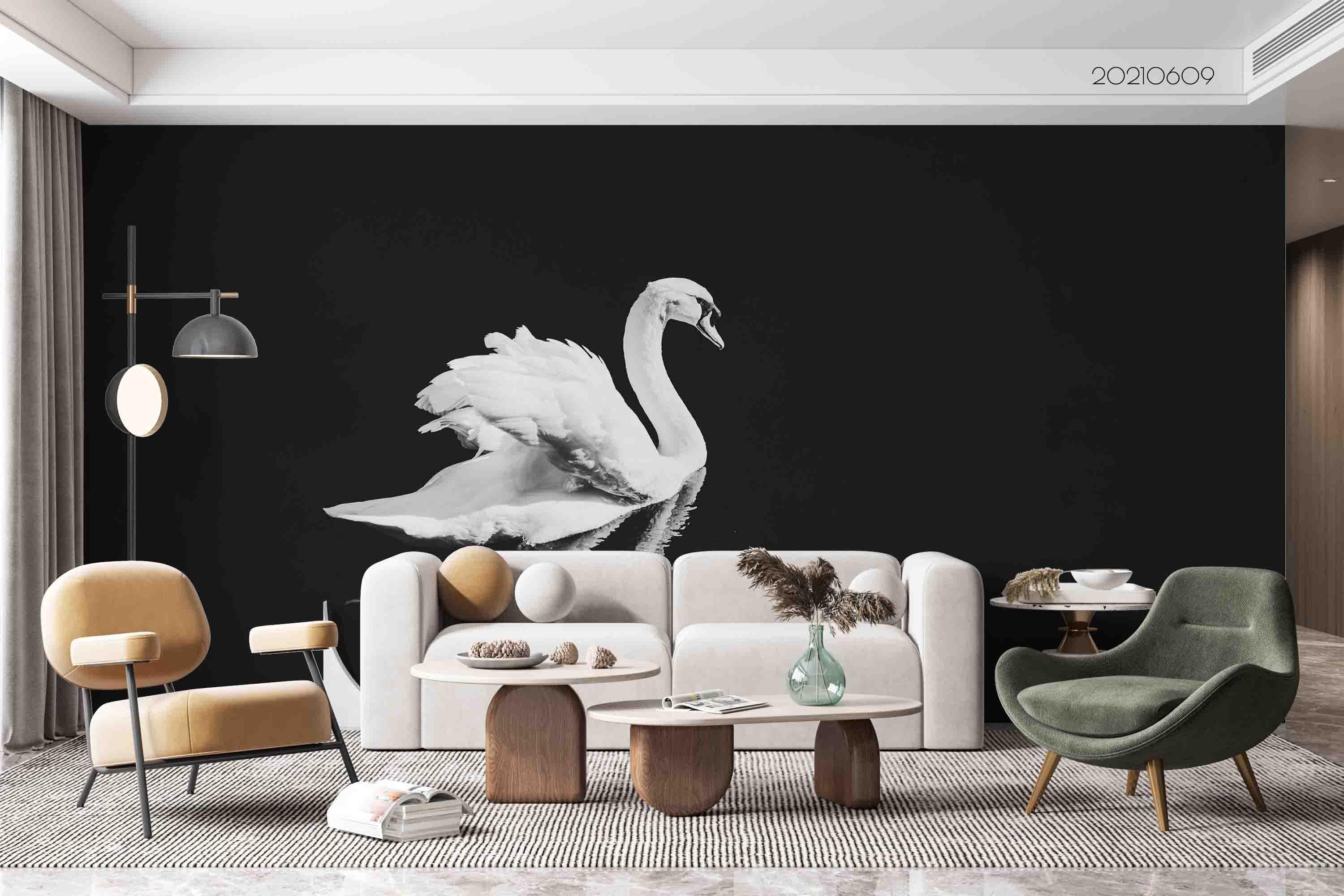 3D White Swan Black Background Wall Mural Wallpaper SWW1667- Jess Art Decoration