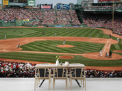 3D Boston Fenway Park Wall Mural Wallpaper GD 1568- Jess Art Decoration