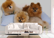 3D Pillow Puppy Dog Wall Mural Wallpaper 116- Jess Art Decoration