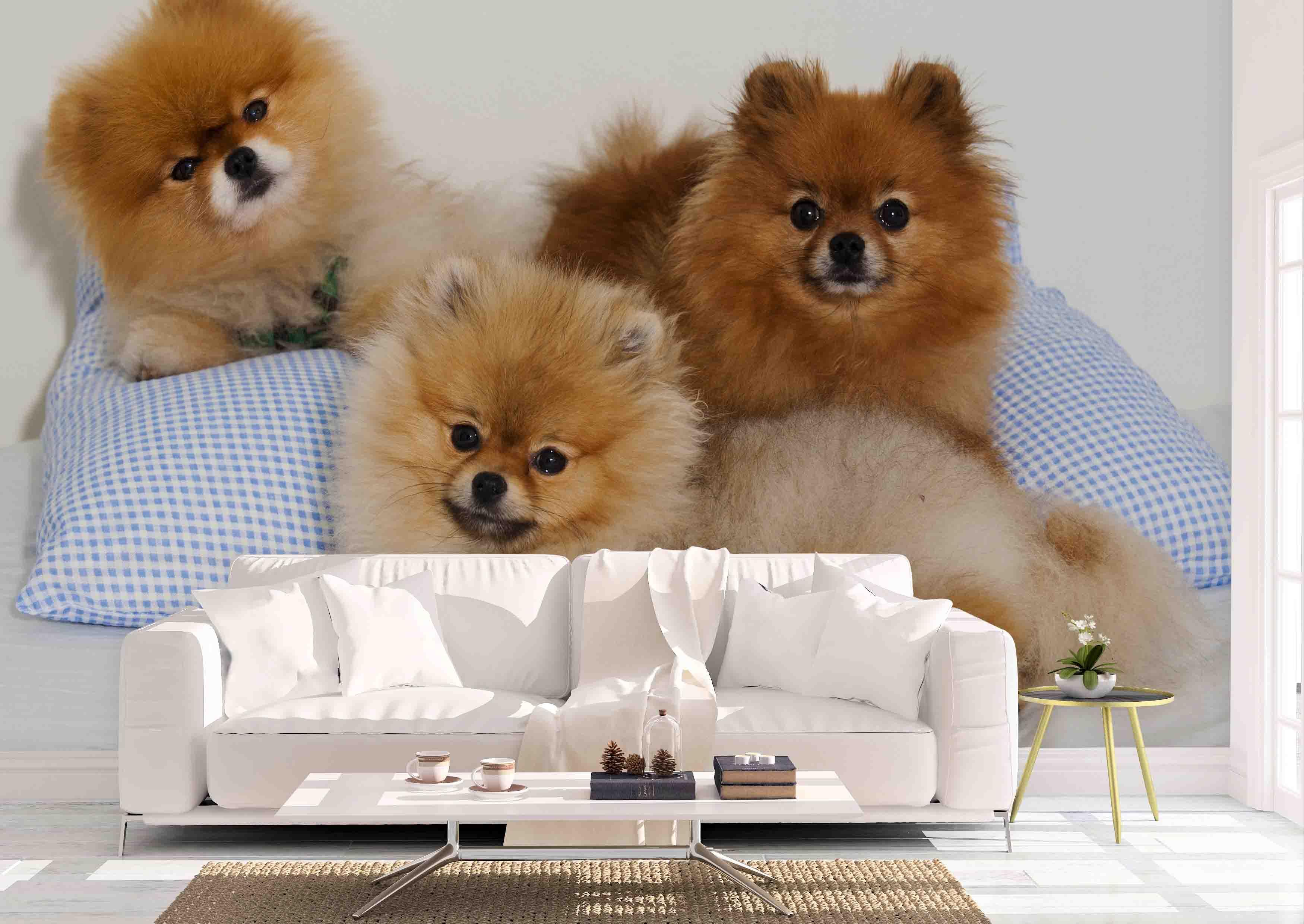 3D Pillow Puppy Dog Wall Mural Wallpaper 116- Jess Art Decoration